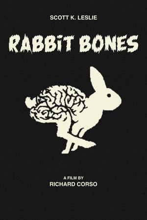 Image Rabbit Bones