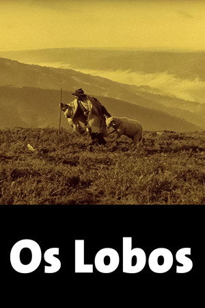 Os Lobos 8