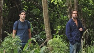 The Cast of ‘Lost’: Before They Were TV Stars