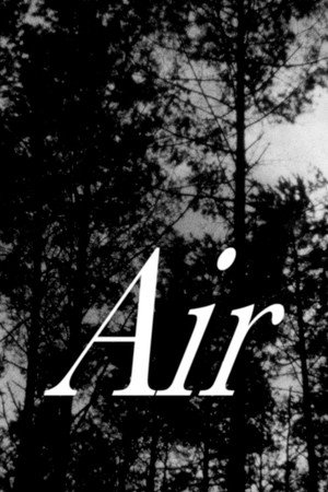 Air (2026)