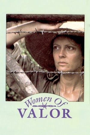 Poster Women of Valor 1986