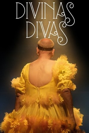 Image Divine Divas
