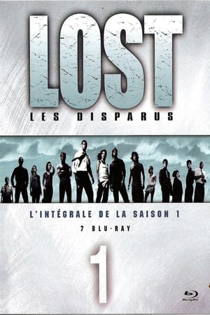 Lost : Les disparus - Saison 1 - poster n°2