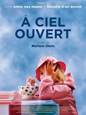 Poster À ciel ouvert 2014