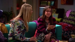 The Big Bang Theory Season 4 Episode 22