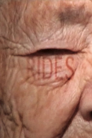 Rides - André Malby 2