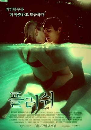 Poster 플러쉬 2013