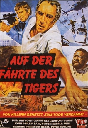 Image Auf der Fährte des Tigers