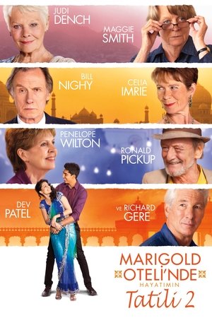 The Second Best Exotic Marigold Hotel