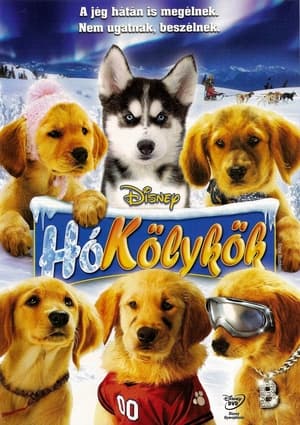 Poster Hókölykök 2008