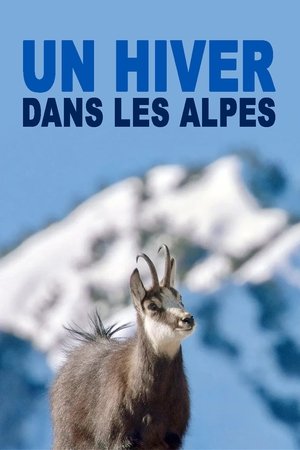 Un hiver dans les Alpes