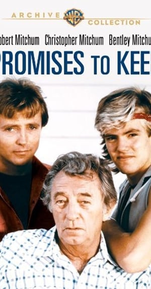 Poster Promises to Keep (1985)