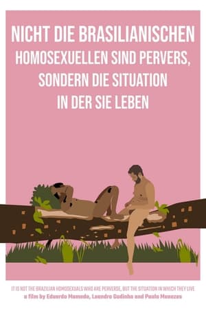 Poster It Is Not the Brazilian Homosexuals Who Are Perverse, But the Situation in Which They Live 2021
