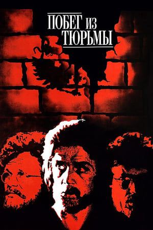 Poster Побег из тюрьмы (1978)