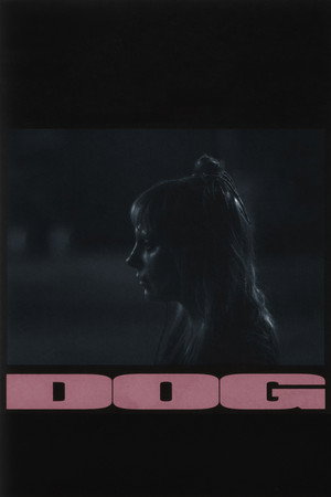 Dog 7
