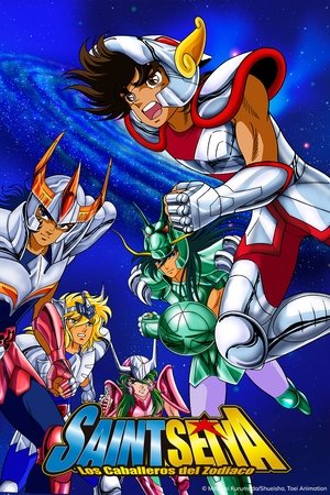 Image Los Caballeros del Zodiaco