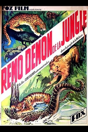 Poster Devil Tiger 1934