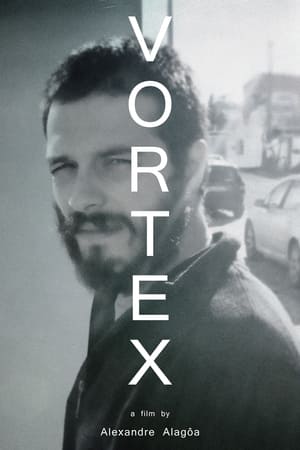 Poster Vortex 2017