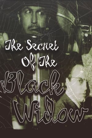 Poster The Secret of the Black Widow (1963)