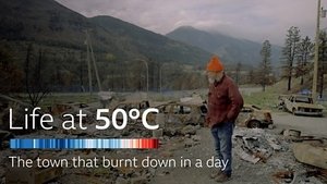 Shorts: The Town That Burnt Down in a Day