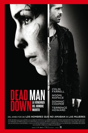 Poster La venganza del hombre muerto 2013