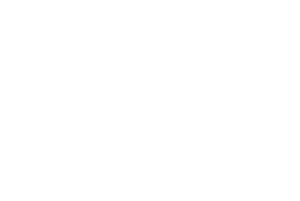 Divertida Mente