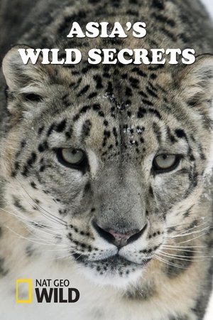 Asia's Wild Secrets (2021)