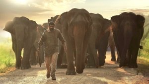 Haathi Mere Saathi – Kaadan (2021) Hindi Dubbed