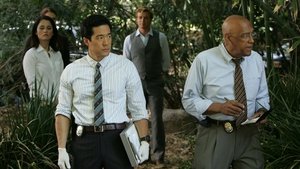 The Mentalist: 1 Staffel 7 Folge