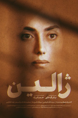 Zhalin 8