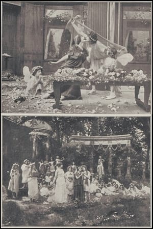 Poster Le mariage de l'amour 1913