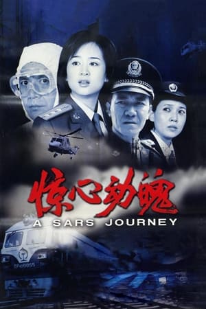 Poster A SARS Journey (2003)