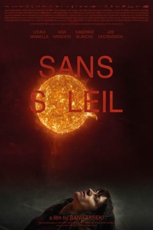 Poster Sans soleil 2021