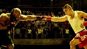 Crazy Fist (2021) HD 1080p Latino