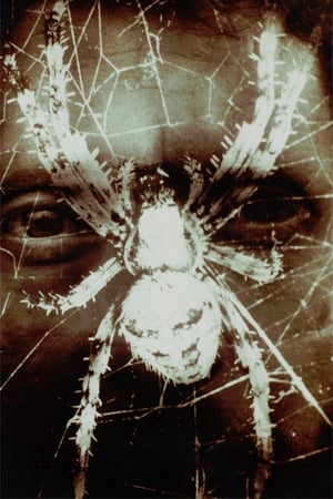 Poster À quoi rêve l'araignée ? (1982)