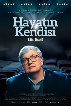 Poster Hayatın Kendisi 2014