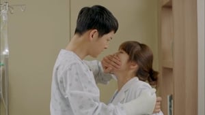 Descendants of the Sun: Season 1 Episode 14 –