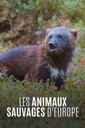Les Animaux sauvages d'Europe
