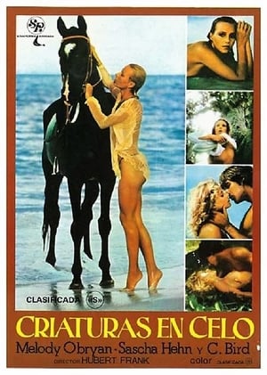 Poster Melody in Love (1978)