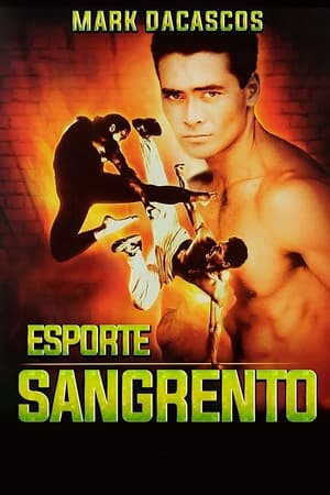 Assistir Esporte Sangrento Online Grátis