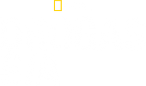 Drogas S/A — Logos 1