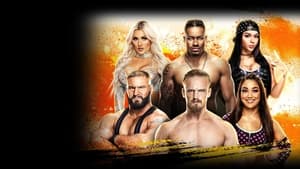 poster WWE NXT