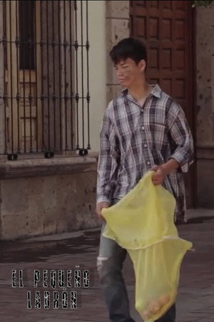 El Pequeño Ladrón 2
