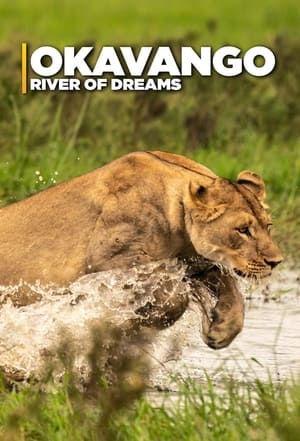 Poster Okavango: River of Dreams 2019