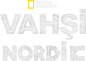 Wild Nordic — Logos 1