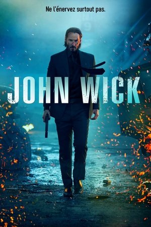 Image John Wick