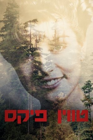 Image טווין פיקס