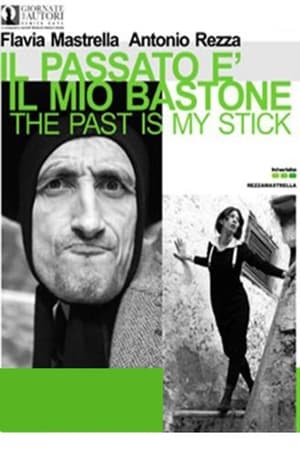 Il passato è il mio bastone 2008