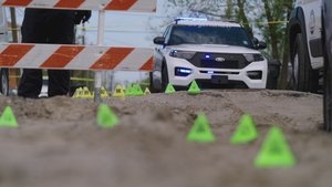 A Witness to Murder