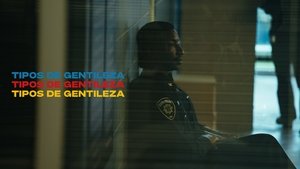 Tipos de gentileza (2024)